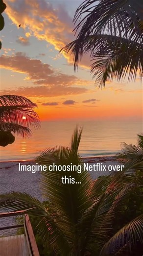 Vacation Views from The Palm Beaches