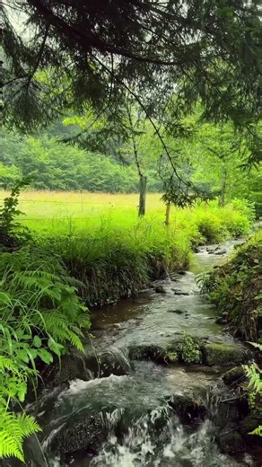 Relaxing River Flow 💧 Peaceful Mind