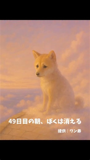 24K views · 896 reactions | . 「49日目の朝、僕は消える」 #pr #犬好き #dog #犬健康 #犬 #犬グッズ #犬健康 #犬 #犬グッズ #犬好きと繋がりたい #dogs #犬のいる暮らし #犬ご飯 | 犬が好きすぎる母親の息子 | Facebook