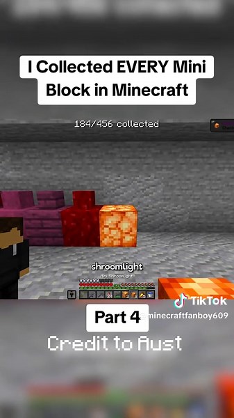 Collecting Every Mini Block in Minecraft
