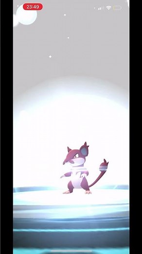 Evolving Rattata Alolan Shiny to Raticate Alolan Shiny | Pokémon Go