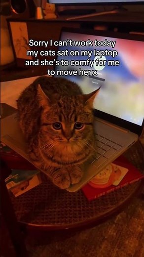 That Laptop Takeover… Explained 😲