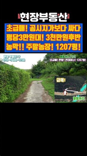 대박 공시지가보다 싸다 평당3만원대 농막! #급매 #부동산 #주말농장 #자연인 #농막 #1207평 #대가리