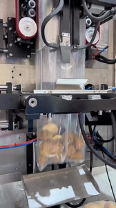 Potato Packing Machine | China Today الصين اليوم