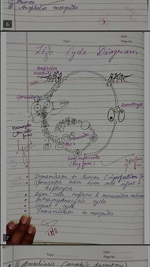 class 12th biology notes .... chapter 8 Human health and Diseases... #studynotes #classnotes #neet
