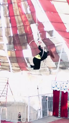 Aerial Acrobatics Performance: Strength and Flexibility Showcase