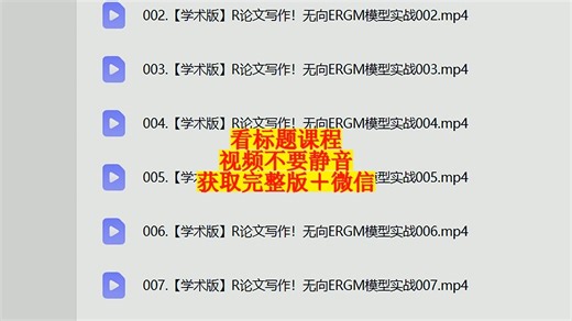 【VIP专享】 R语言无向ERGM模型实战