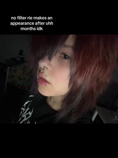 Understanding No Filter Effects on TikTok Videos