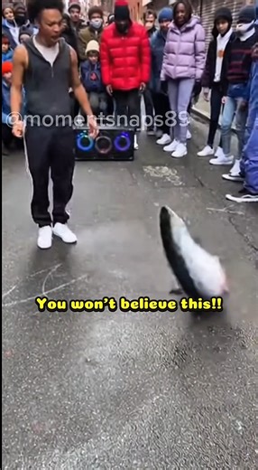 “A Fish That Can Breakdance?! Watch This Crazy Moment!” #shorts #trendingnow #viralvideo