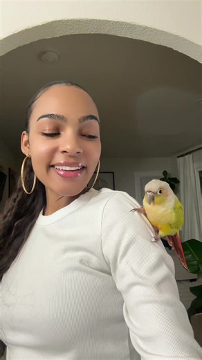 Celebrating Pet Birthdays: A Guide for Parrot Owners