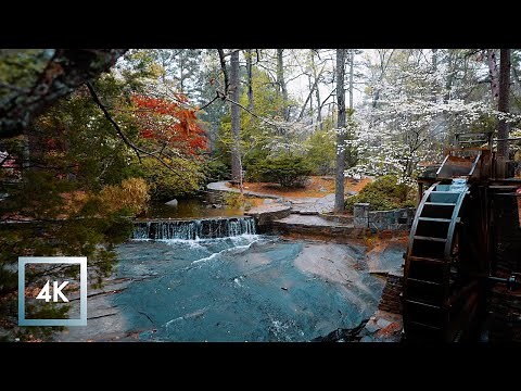 Walking in Thunderstorm, Binaural Rain and Nature Sounds for Sleep and Study | ASMR
