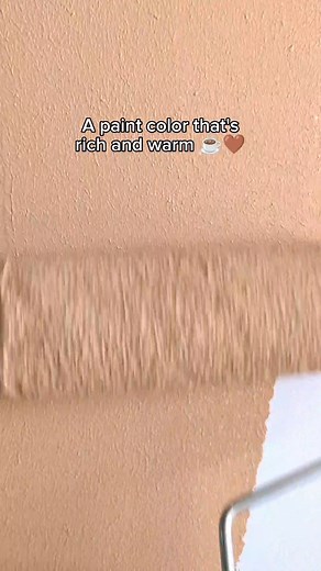 1M views · 10K reactions | A paint color that will give your space a calm and welcoming vibe. Davies Megacryl MCS in the color Tiger Tan (MCS-9104) #reelsph #reelsphilippines #DaviesPaints #DaviesMegacrylMCS #MegacrylMCS #SemiglossPaint #PaintColors #PaintMixing #InteriorDesign | Davies Paints Philippines | Facebook