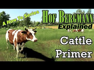 FS19 Hof Bergmann Explained - Cattle Primer - A How To Series