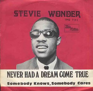 Stevie Wonder - Never Had A Dream Come True