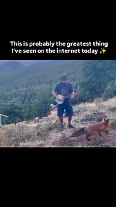 3.4K reactions · 26 shares | Music reunites souls  . #banjo #banjomusic #banjoplayer #lovesongs #liveperformance #instrument #basicallymusic | Basicallymusic | Facebook