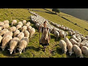 A Peaceful Countryside Life — A Young Woman Living Alone With Her Dog, Doing Everyday Rural Work