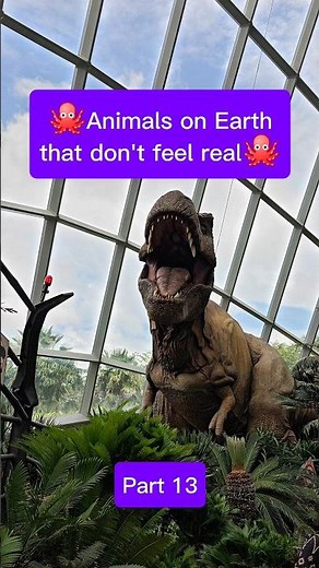 More bizarre animals that don’t even feel real 🐍🐖🐢 #UnrealAnimals #WeirdAnimals #AnimalFacts #Part13