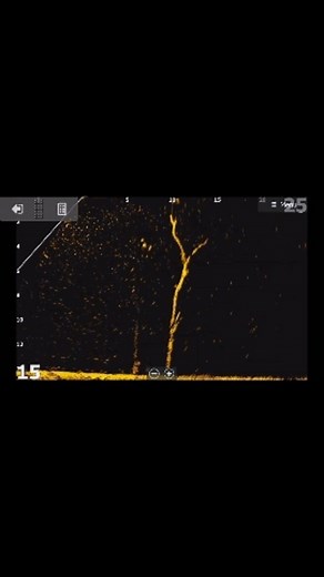 16K views · 80 reactions | A little screen grab of our @lowrancefishing Active target  from this weeks cod trip. For everybody who thinks this form of fishing gives you an unfair advantage...... just watch this clip. So close, but so far, this metre plus fish could not be fooled. Have you used it, what are your thoughts? I love it! #activetarget #lowrance #codfishing @socialfishing #ifishtv #cantbelievewhatyousee | Ifish | Facebook