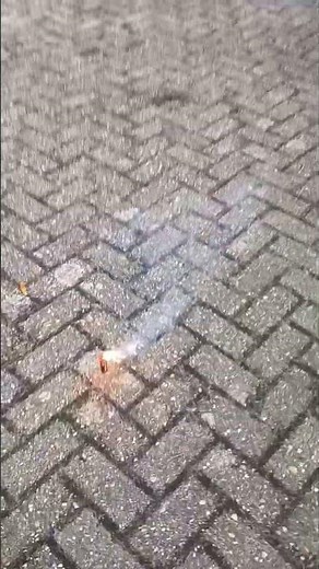 SCREAM NITRAAT PYROSHOP #vuurwerk