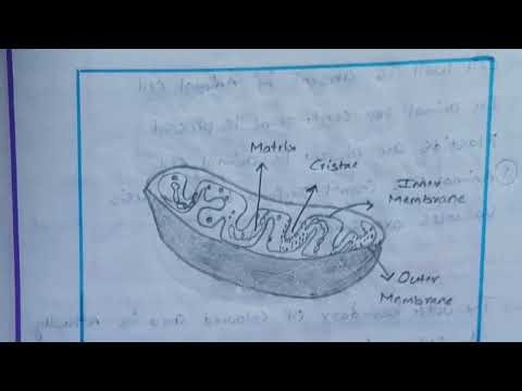 9th class FA-1 Biology project work (How to write)