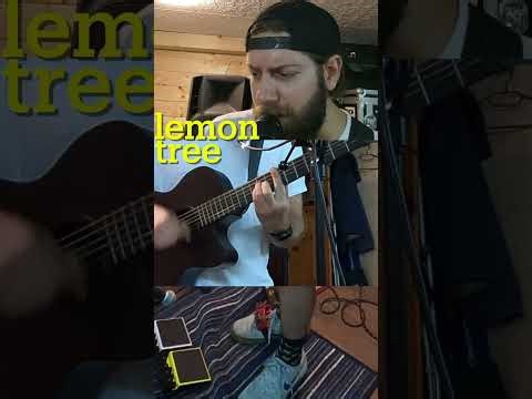 Lemon Tree - Fools Garden #cover #acousticcover