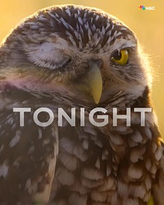 148K views · 4.3K reactions | The Americas, Suits LA and Grosse Pointe Garden Society premiere TONIGHT starting at 7/6c on NBC and streaming on Peacock. | NBC | Facebook