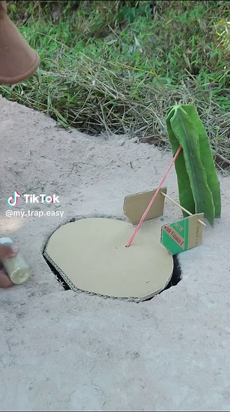 Smart Pit Trap That Drops Birds Underground #PitTrap #SmartTrap #BirdTrap #LifeHack #creativedesign
