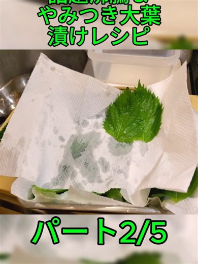 流行りのやみつき大葉漬けレシピ
