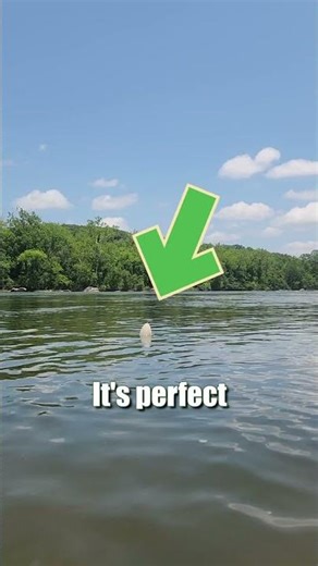 The BEST Rig For Catfish Fishing In Rivers: Flathead, Blue & Channel Cats: FATKAT Best Catfish Rig