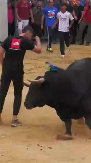 Gran Recorte!! #toros #torostv #bull ❤️🏃