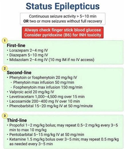 Managing Status Epilepticus: A Quick Guide | Ashar Bin Dawood posted on the topic | LinkedIn