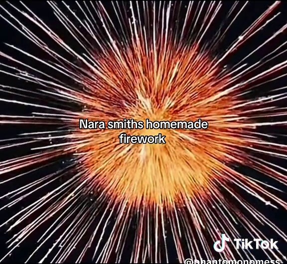 Nara Smith's Homemade Firework Celebrations