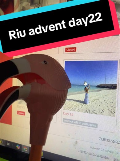 #riuadvent day 22 #riu #riuclass @RIU Hotels & Resorts Otto needs an upgrade to a jacuzzi suite 😂 time is running out to #win #countdown to #palacepeninsula