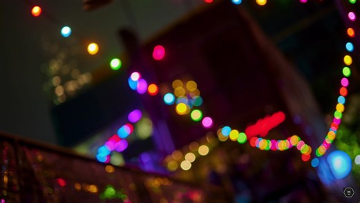 Which Nifty Fifty Lens Is Right for Nikon Photographers?