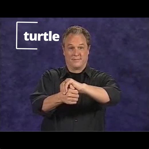 Ready Set Sign on Instagram‎: "ASL Turtle To sign “turtle,” place your dominant hand in an “A” handshape, palm to the side, and cover it loosely with your non-dominant hand in a curved shape, then move the thumb up and out from the non-dominant hand and back to represent the turtle’s head. (Technical) Non-dominant hand in curved “5” handshape covers dominant “A” handshape in front of your torso, palm oriented to the side. Dominant thumb moves in small motions to depict the head. Video descriptio