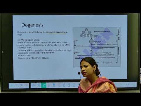 Human Reproduction Leacture 2 | NEET 2026 Special | Dhriti Classes Mathura