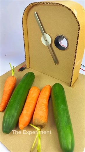 Vegetable Chopper Cutter #dcmotor #techexperiment #vegetables #youtubeshorts #vegetablechopper