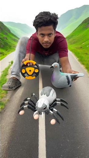 Remote Control Birds Spider Unboxing Deko