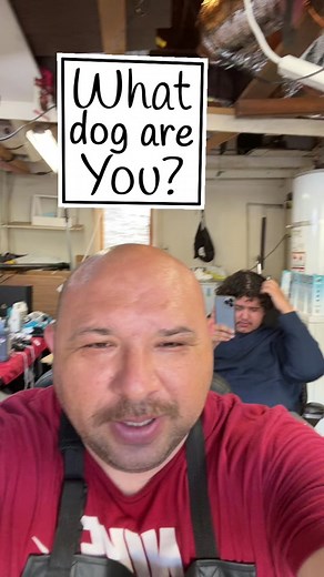Humorous Dog Face Filters in a Workshop Setting