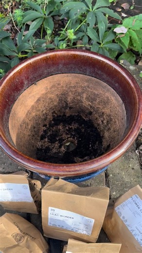 We just planted this combo with Hyacinth ‘China Pink’, Narcissus ‘Peachy Dream’, Tulip ‘Lilac Wonder’ and Crocus ‘Flower Record’. All these varieties are available in our sale if you fancy growing this one too! This pastel coloured combo will flower between February and April, starting with crocuses which flower earliest in February-March, followed by hyacinths and daffodils which flower together from around mid March to April, finishing with the tulips which will bloom from around mid April. We