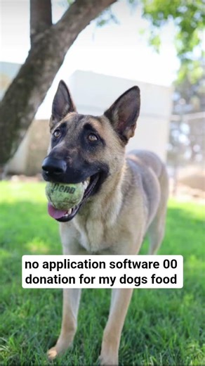 no application software 00 donation for my dogs food #animallovers #doggielife #donate #dogfood