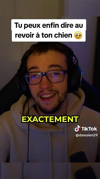 Dis Au Revoir à Ton Chien dans Minecraft