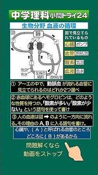 Junior High School Science Short Question Challenge 24: Blood Circulation #BloodCirculation #Hemo...