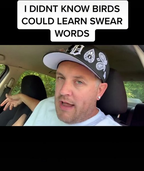 Birds Learning Swear Words: Surprising Behavior Revealed