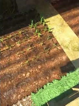 The real life minecraft. #minecraftrealistic #minecraft