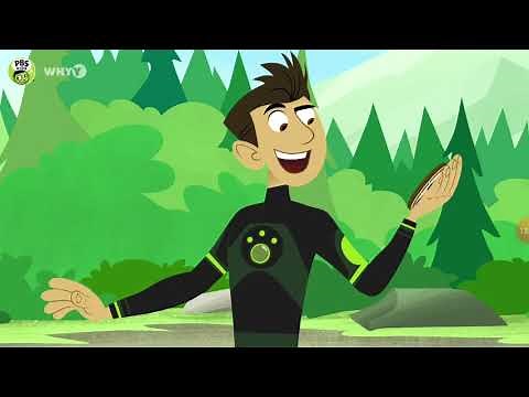 Wild Kratts Alaska Hero's Journey.