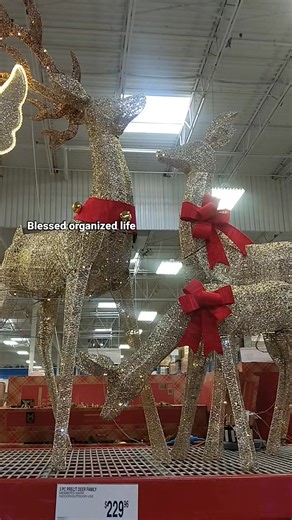 Sam's club decor #christmasdecor | Blessed organized life