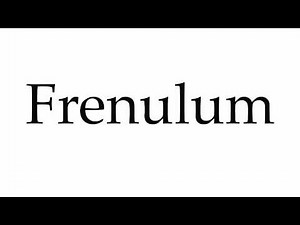 How to Pronounce Frenulum