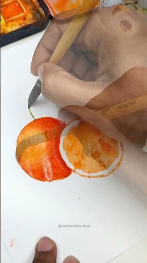 Watercolour Orange Tutorial for Beginners | Watercolor Tips #watercolor #orange #painting #artwork