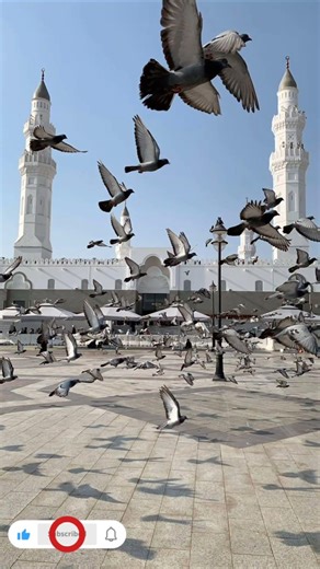 Islamic beautiful naat 🥺❣️ #naat #ytshorts #viral #youtubeshorts #islam